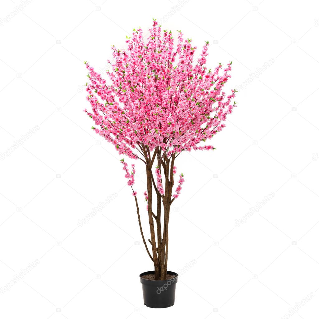 Artificial sacura tree like real as modern evergreen ecological decoration for interiors of house, malls, restaurants. isolated on white background for design collage