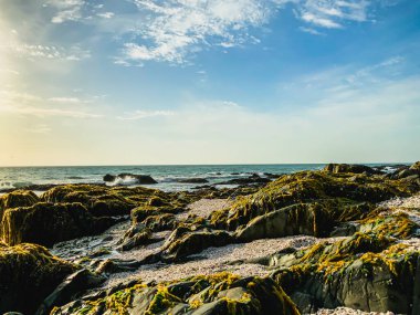 Alçak gelgit sırasında deniz yosunlarıyla kaplı kayalar Güzel bulutlar ve gökyüzü