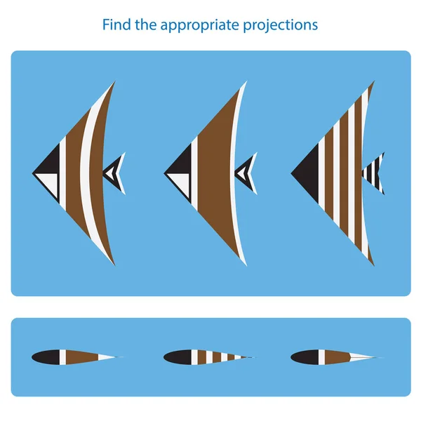 Mantıksal görev. Uygun projeksiyonları bulmak. Vektör çizim