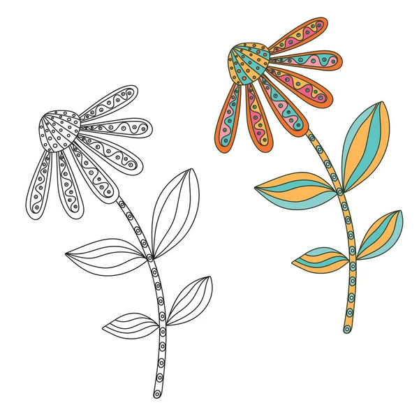 Florale Gestaltungselemente Handgezeichnetes Doodle Schwarz Weiß Und Farbige Version Vektorillustration — Stockvektor
