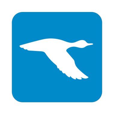 Vektör siluet uçan ördek. Vektör çizim