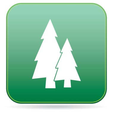 Köknar ağaçları orman düz simgesi 