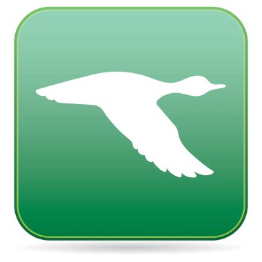 Vektör siluet uçan ördek. Vektör çizim