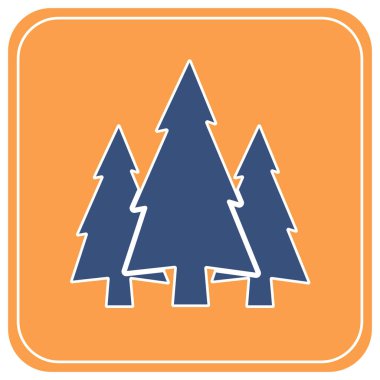 Köknar ağaçları orman simgesi  