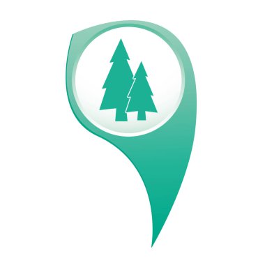 köknar ağaçları orman