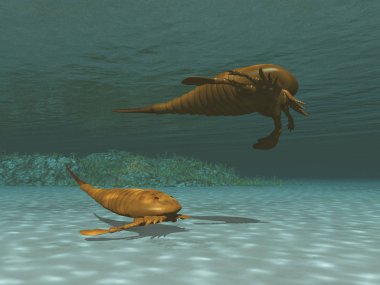 iki eurypterids 3D çizimi