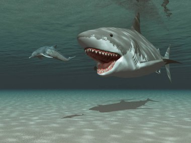  Bir kentriodon takip Megalodon