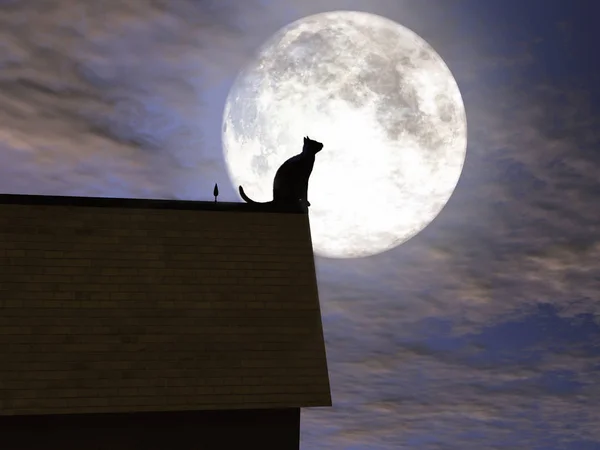 Illustration Katt Ett Tak Med Månen Bakgrunden — Stockfoto