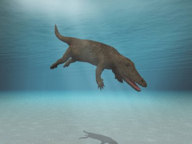 Bir Ambulocetus 3d illüstrasyon