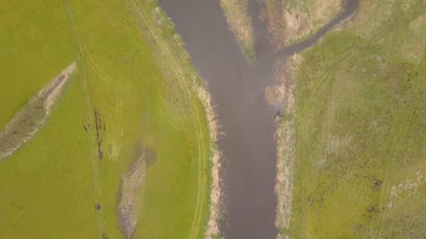 Aerial View River — Stock Video
