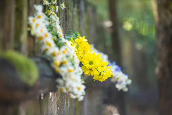 在古老的栅栏上凋谢鲜花 — 图库照片