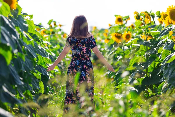 Kvinnan bakifrån i ett fält av solrosor — Stockfoto