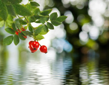  çok renkli arka plan görüntü