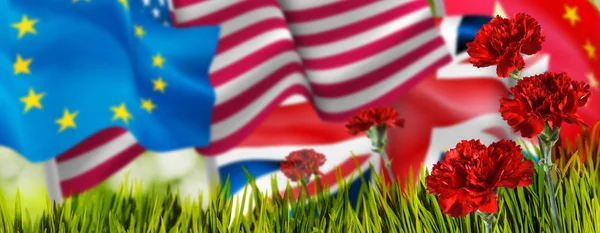 Wizerunek Flagi Kwiaty Zbliżenie — Zdjęcie stockowe