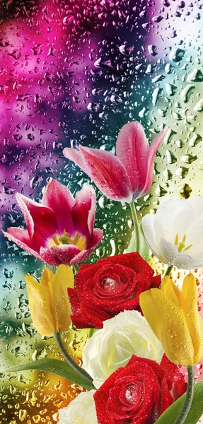 Imagen Hermosas Flores Sobre Fondo Vidrio Húmedo — Foto de Stock