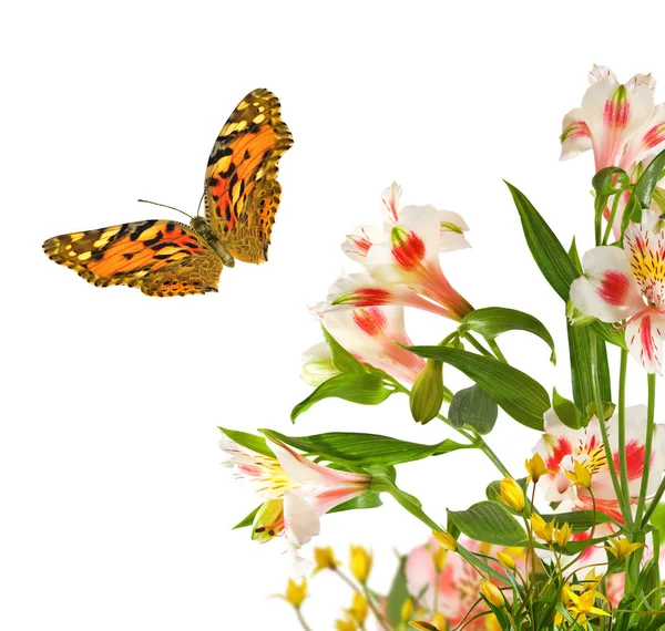 beautiful flowers and butterfly in garden closeup