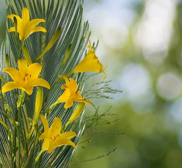 Beautiful Flowers Garden Close — Stock Photo, Image