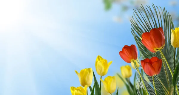 美しい花のクローズ アップの花束の分離イメージ — ストック写真