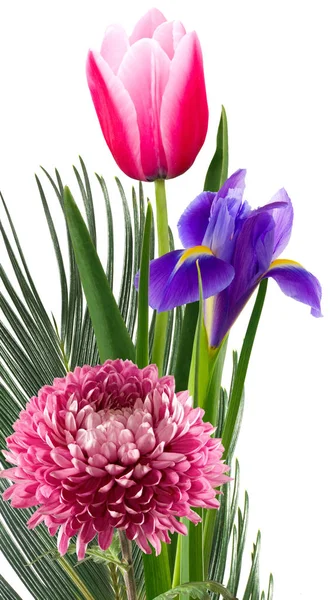 Ізольований Образ Букета Красивих Квітів Крупним Планом — стокове фото