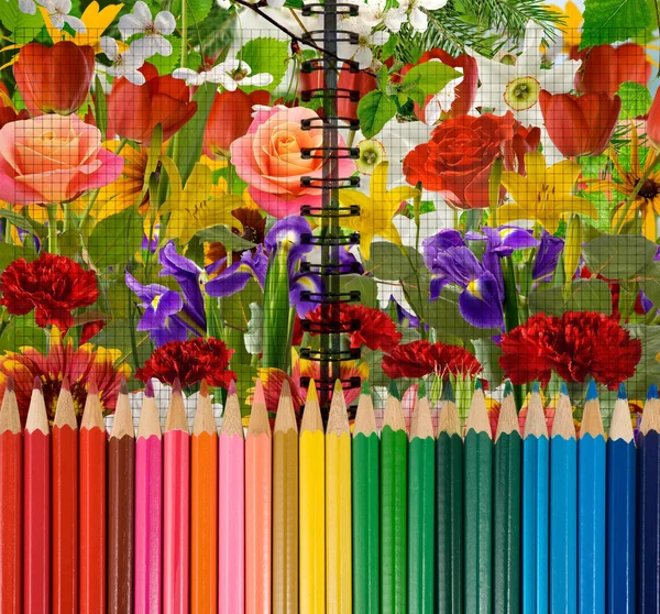 colorful pencils on flowers background