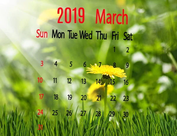 Obraz Kalendarz Marca 2019 Tle Kwiatów — Zdjęcie stockowe