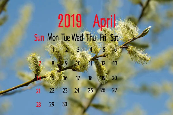 Kalender Bild April 2019 Gren Bakgrund — Stockfoto
