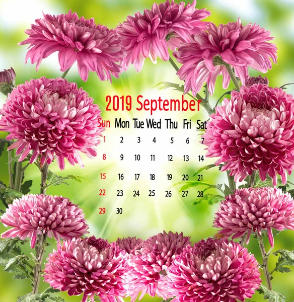 2019年9月的日历图像在鲜花背景 — 图库照片