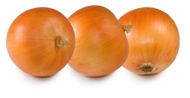 soğan yakın çekim izole görüntü