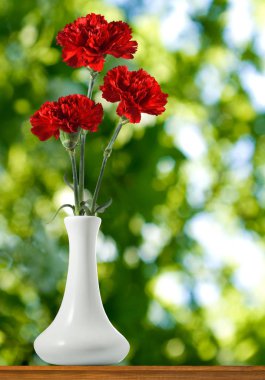 Gökyüzüne karşı bir Vazoda Çiçekler