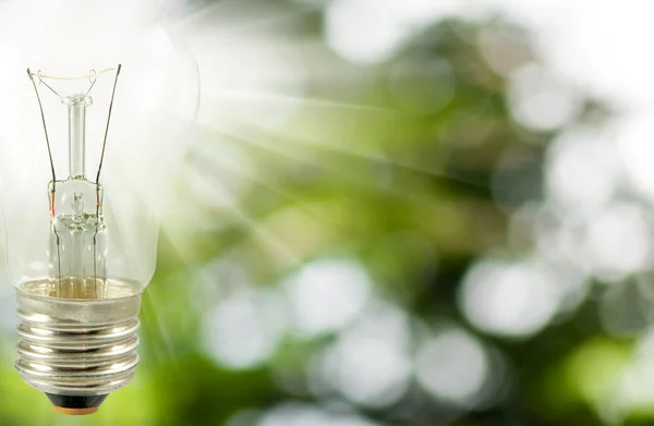 image of a light bulb on green backgrounds
