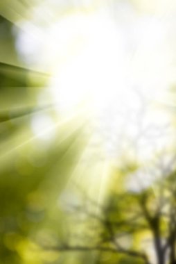 görüntü bulanık ağacın doğal arka plan üzerinde