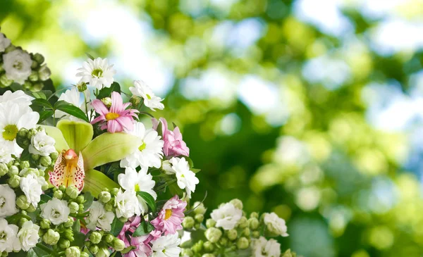Strauß Schöner Weißer Blumen Nahaufnahme — Stockfoto