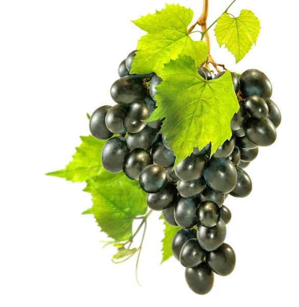 Ізольоване Зображення Винограду Білому Тлі — стокове фото