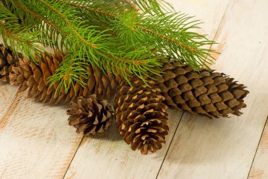  koniler closeup görüntüsünü