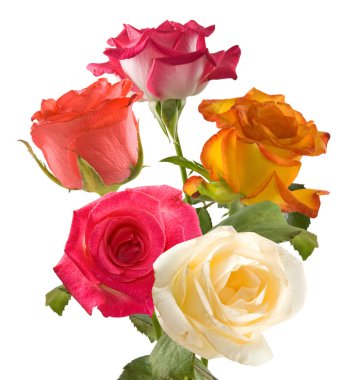 yeşil zemin üzerine gül buketi görüntüsünü