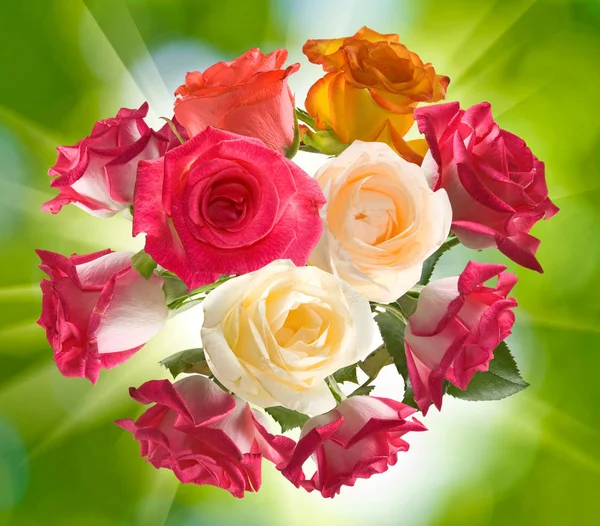 Image Bouquet Roses Green Background — Stock Photo, Image