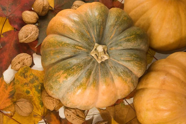 くるみ かぼちゃ 秋のイメージの葉クローズ アップ — ストック写真