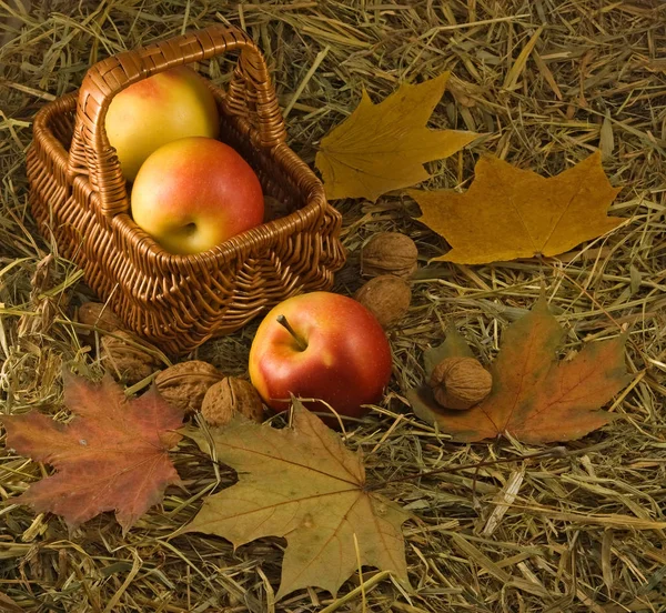バスケットに熟したリンゴのイメージ — ストック写真