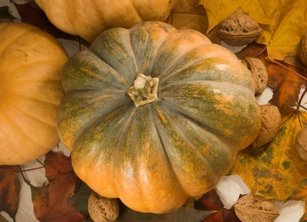 くるみ かぼちゃ 秋のイメージの葉クローズ アップ — ストック写真