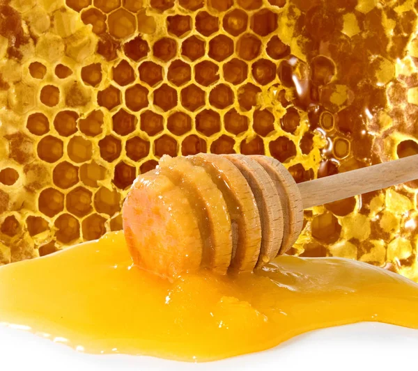 蜂巢特写镜头中的蜂蜜的孤立图像 — 图库照片