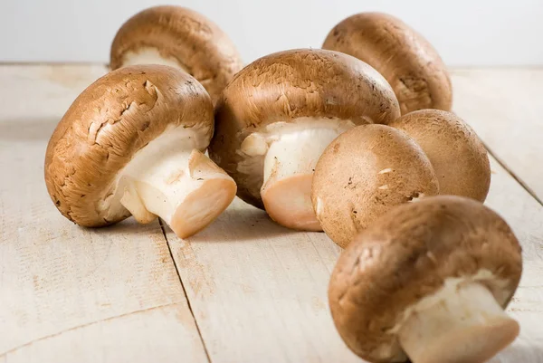 Image Champignon Mushrooms Close Seup — стоковое фото