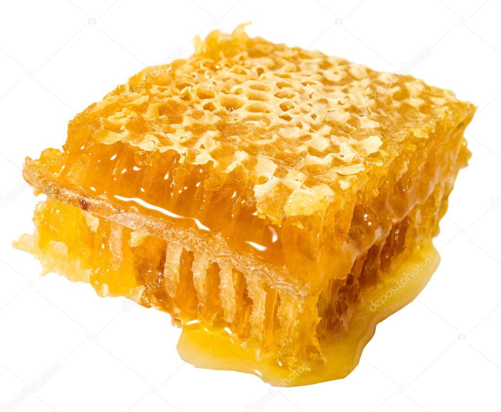 isolated image of honey in honeycombs closeup
