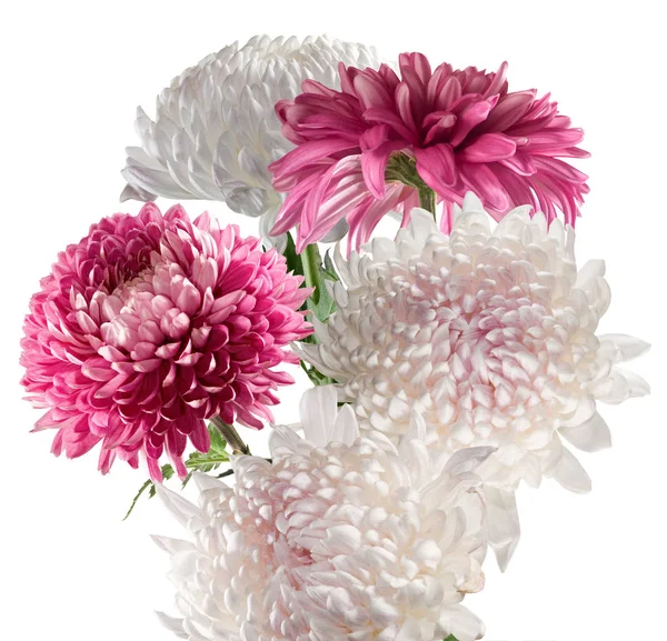 Białym Tle Obraz Bukiet Kwiatów Zbliżenie — Zdjęcie stockowe