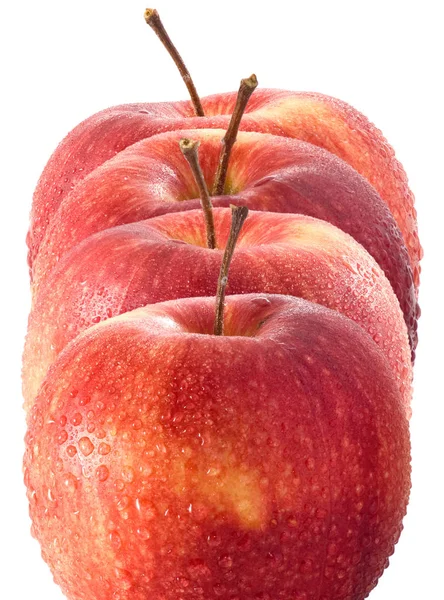 Изображение яблок на белом фоне — стоковое фото