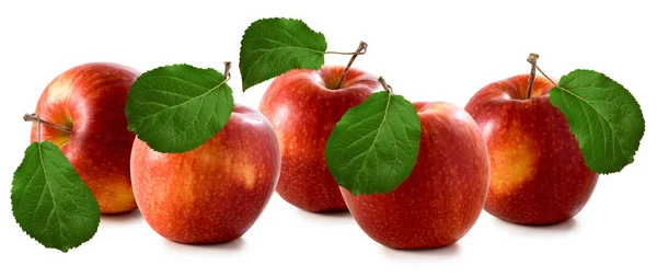 Imagem isolada de maçãs closeup — Fotografia de Stock