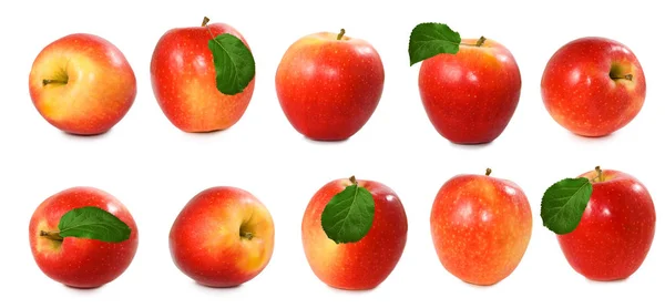 Na białym tle obraz jabłka z bliska — Zdjęcie stockowe