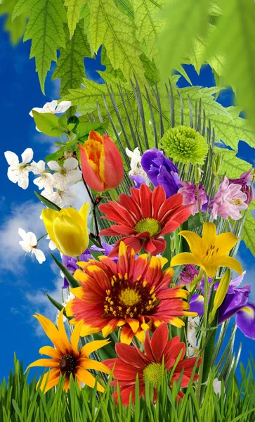 Mooi boeket bloemen — Stockfoto