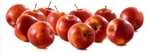 Image isolée de pommes en gros plan — Photo