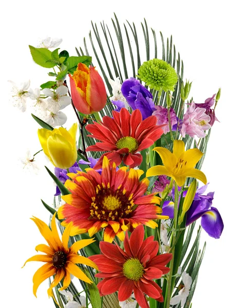 Ізольоване зображення квітів крупним планом — стокове фото