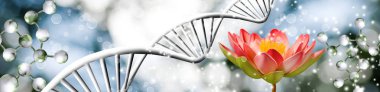 Lotus çiçeği üzerinde dna zinciri arka plan yakın çekim